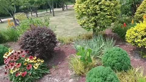 small garden in front