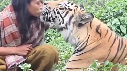 Super natural attachment:amazing love between animals and humans