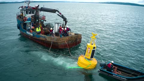 Chile uses hi-tech buoys to protect migrating whales