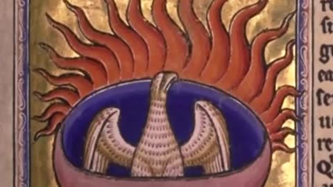 Phoenix- The Bird thahes - Mythological Bestiary #06 - See U in History_Cut