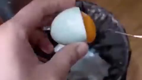 How A Chick Born From A Egg Interesting Video 😱