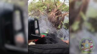 Video shows dog trapped behind seawall being rescued in Florida
