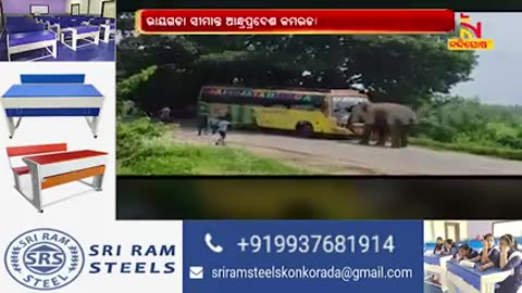 Elephant attack road Boss