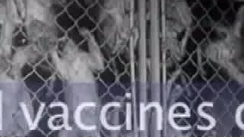 SV 40 in polio vaccine. This is going to blow your mind
