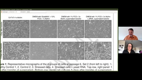 VIROLOGY REFUTED CPE - CONTROL EXPERIMENT (7 minutes)