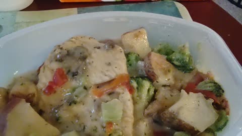 Eating Lean Cuisine Herb Roasted Chicken, Dbn, MI, 11/6/23