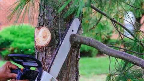 Tree Services by Flaherty - (412) 226-6370