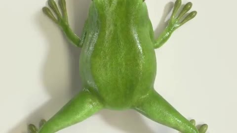 How a tadpole becomes a frog