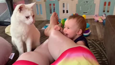 Cute baby playing with cat