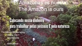 The Nature Conservancy Desde 1951 Ong ROUBANDO A AMAZÔNIA