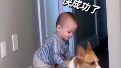 that expresion by dog made me laugh a loud