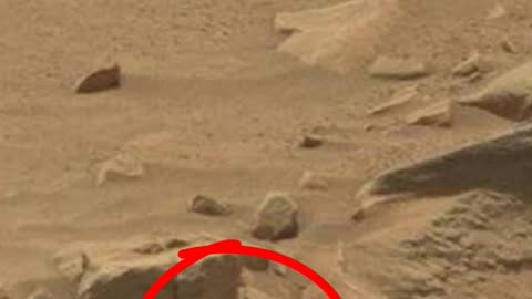 "Encounter with Aliens on Mars: Unearthly Discoveries Revealed!"