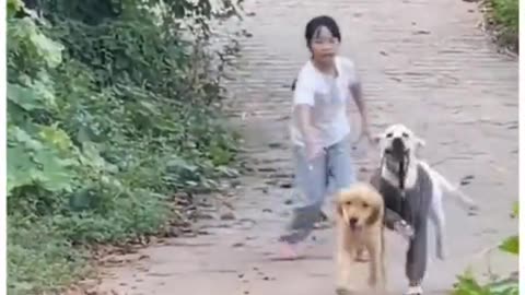 The dog saved the other from it’s owner 😃🦮🔥 #dog #pets #animals