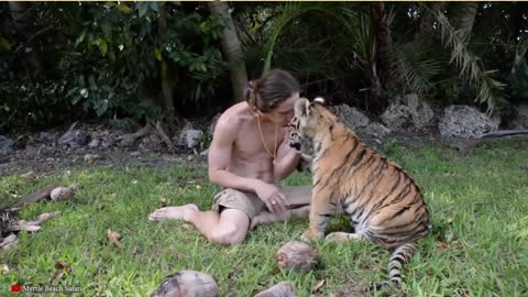 Kody Antle, the real Tarzan, plays with tigers and chimpanzees