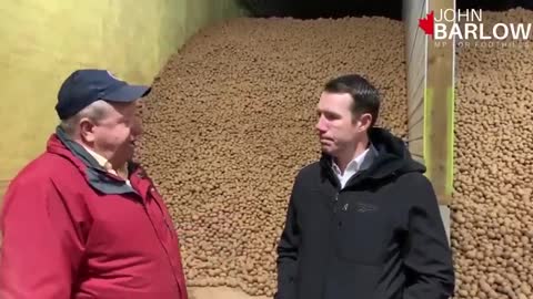 Liberals destroy 300 MILLION pounds of Potatoes