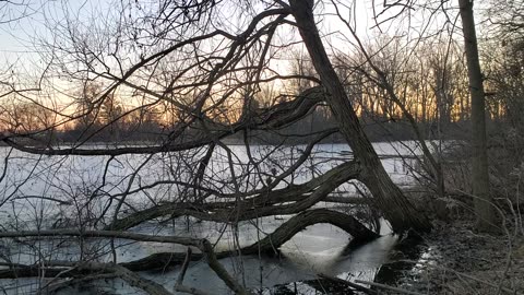 Neighborhood Pond at Sunset