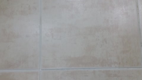 Life hack: Clever way to keep bathroom tiles clean