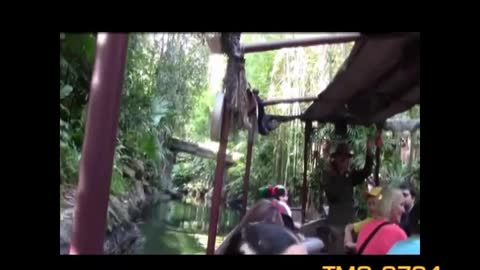 Jingle Cruise--Disneyland History--2010's--TMS-2794