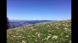 Silver Star Mountain (Washington State)