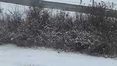 #Biker and #walker chill out in a heavy #winter #snowstorm