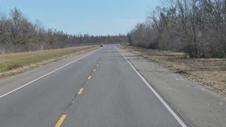 LOUISIANA SWAMP LANDS