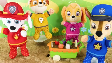 Video de aprendizaje para niños - ¡Picnic de la Paw Patrol!