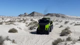 HET in the sand dunes the Turtle