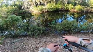 Micro fishing