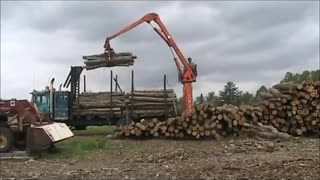 Unloading logs for the firewood processor