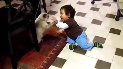 Funny kids - Funny babies - Funny animals