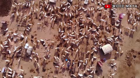 The Mundari tribe of South Sudan