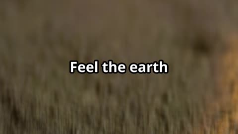 Feel the Earth: Unlock the Benefits of Grounding!