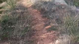 Hiking homemade trail