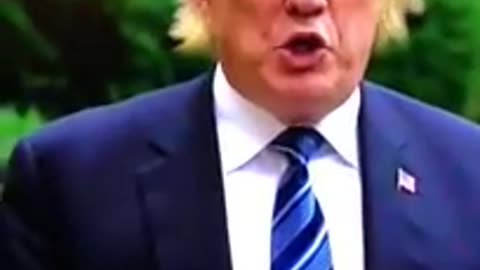 Donald Trumps hair flies off in winds from Hurricane Florence MUST SEE