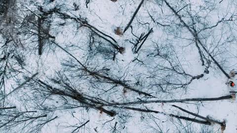 Snowfall Beauty Of Nature | Drone Aerial View |