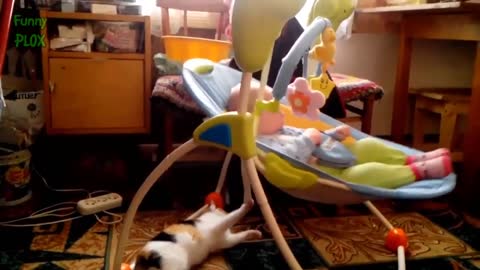 Funny Cats Protecting Babies Compilation