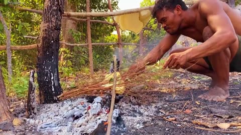 Five Stars Bushman Harvesting Honey Beehive in Jungle