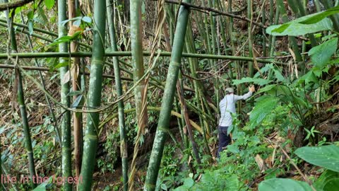 Life In The Forest,How To Bring Water Back, Build Outdoor Bath House 2022