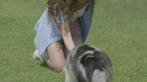 Cute and Funny Dog with a young lady Jezzy