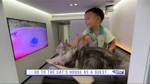 Go to the cat's house as a guest.