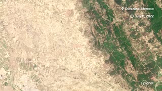Satellite images show damage from European wildfires