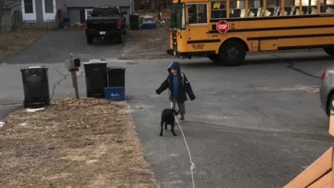 Puppy greets little boy as he gets off the bus