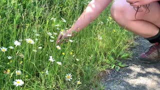 PICKING FLOWERS FOR A FLOWER 👑