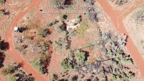 39_Weed Management at Newhaven Wildlife Sanctuary (NT)