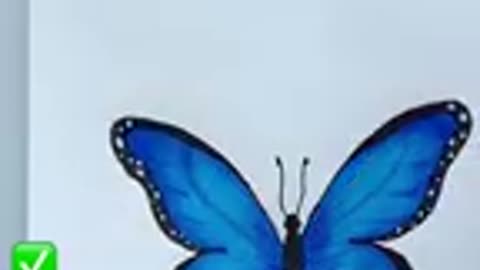 How to draw correctly butterfly 🦋 image?