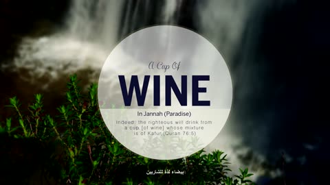 A Cup of Wine in Jannah [Paradise] - Imam Anwar Al Awlaki