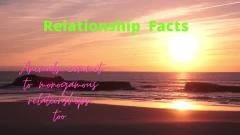 Relationship Facts#shorts