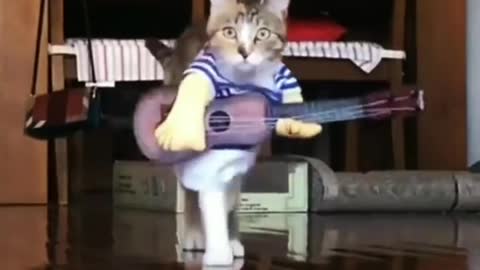 A cat that sings and sings