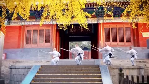 Why You Should Never Mess With A Shaolin Monk