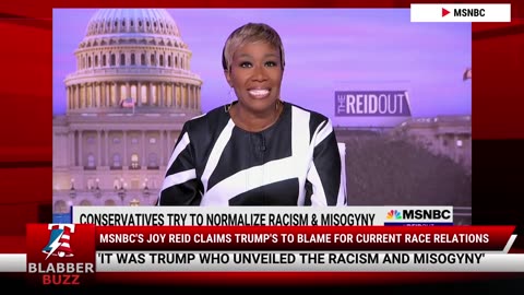 MSNBC's Joy Reid Claims Trump's To Blame For Current Race Relations